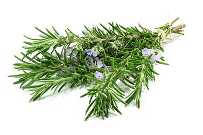 Rosmarinwein herstellen – So gehts