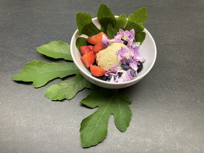 Eiscr�me aus Feigen Bl�ttern