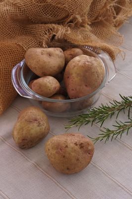 Kartoffel Revoluzzer 'Simsalata', Solanum tuberosum