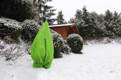 Väterchen Frost - oder wann man die winterharten und nicht ganz so winterharten Pflanzen vor Frost schützen soll