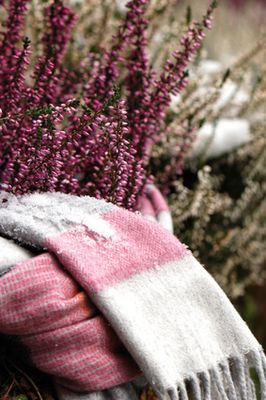 Winterschutz für Pflanzen: so schützen Sie Ihre Pflanzen im Winter optimal!