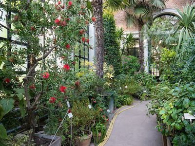 Kruidtuin - der botanische Garten von Leuven
