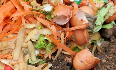 Bokashi Kompost - Der perfekte Dünger, den man selber herstellen kann