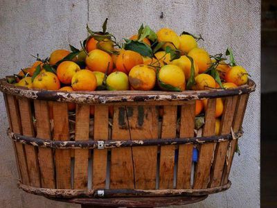 Orangensorten - von Orangen, Blutorangen und Apfelsinen