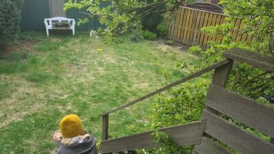 Mein erster Garten, der Garten im April, Jana Laura Lange