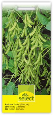 Sojabohne 'Fiskeby' (Edamame)