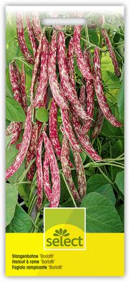 Stangenbohne 'Borlotti'