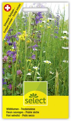 Wildblumen fr Trockenwiese 4m2