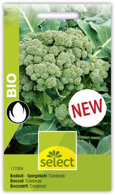 Broccoli-Spargelkohl 'Calabrais' früh Bio