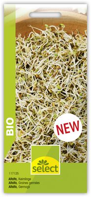 Alfalfa Speisekeimling Bio