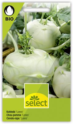 Kohlrabi 'Lanro' frh BIO VK