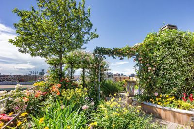 Eine Dachterrasse bepflanzen - grüne Paradiese für ganz oben