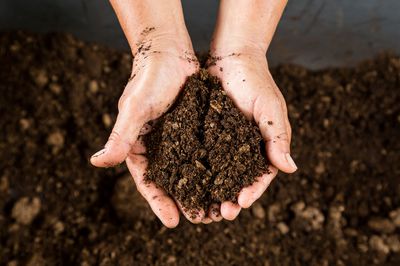Torffreie Erde verwenden und auf Torf im Garten verzichten – der Umwelt zuliebe!