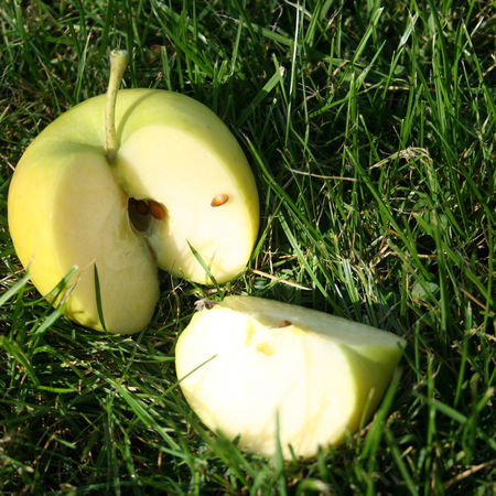 Apfel BiondaÂ® Patrizia