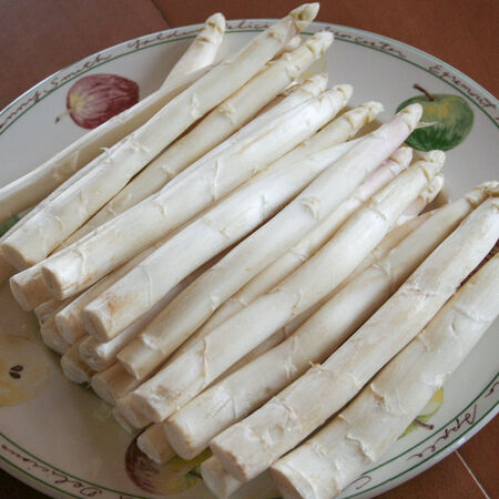 Bleichspargel LuberaÂ® BlancheViteÂ®