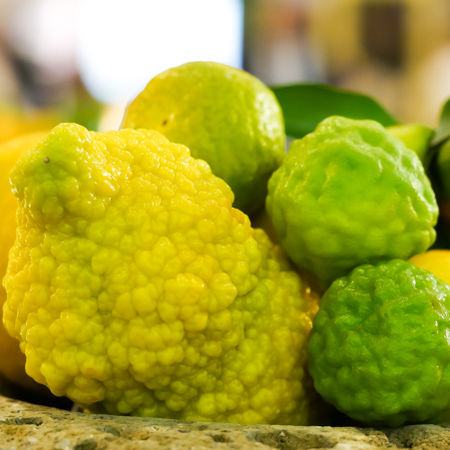 Die 'rauhe' Zitrone, Citrus jambhiri