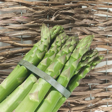 GrÃ¼nspargel LuberaÂ® VerteViteÂ®