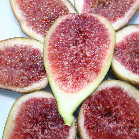 Feigenbaum GustisÂ® PerrettaÂ®
