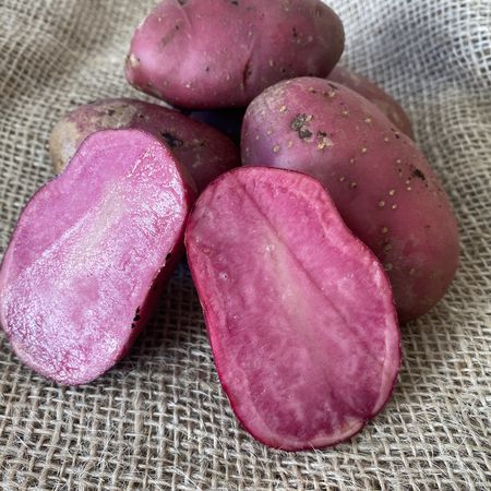 Saatkartoffeln 'Heiderot'