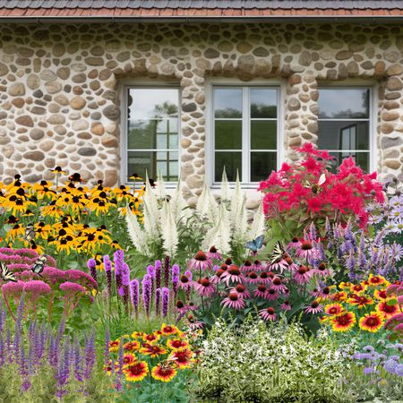 Staudenbeet 'Insekten Drive-In'