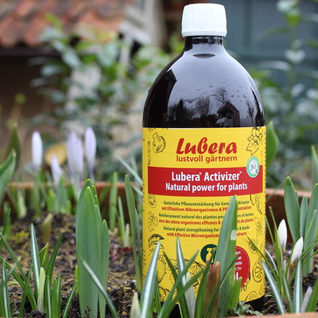 LuberaÂ® ActivizerÂ® Effektive Mikroorganismen 