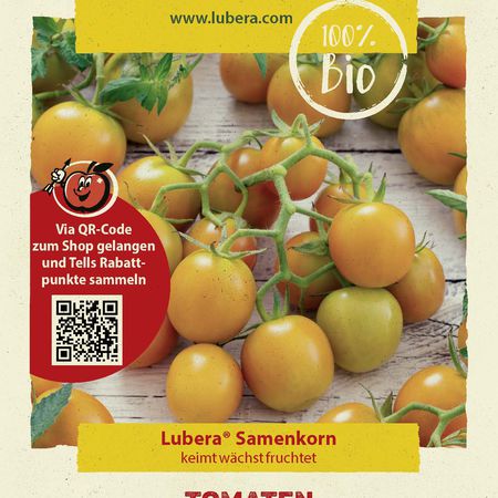 Tomaten 'Sunviva'