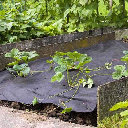 Mulchvlies/Unkrautvlies