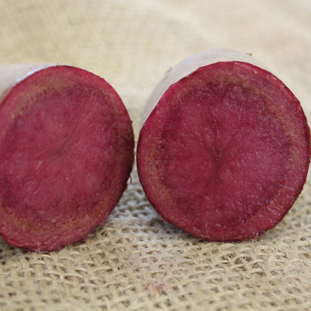 Saatkartoffeln 'Red Emmalie'