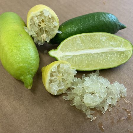 Gelbe Fingerlimette 'Faustrime'