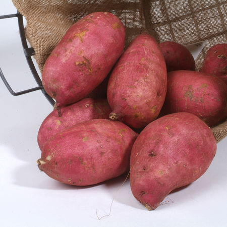 SÃ¼sskartoffel Murasaki