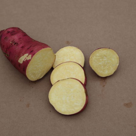 SÃ¼sskartoffel SugarootÂ® 'Yellow'