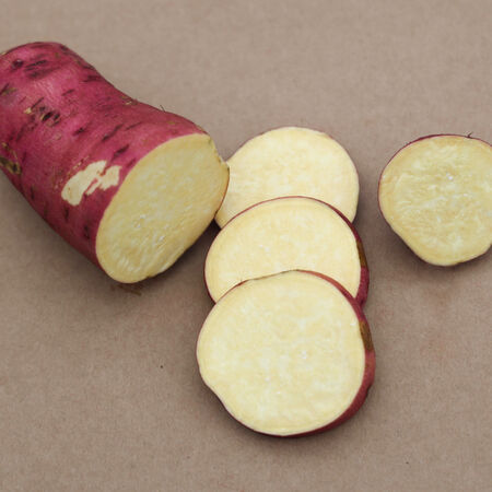 SÃ¼sskartoffel SugarootÂ® 'Yellow'