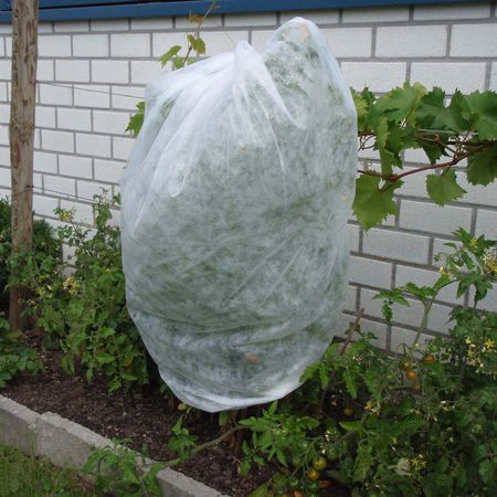 Tomatenvlies/Pflanzenschutzhaube