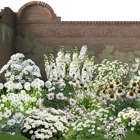 Staudenbeet 'Ein Traum in Weiss'