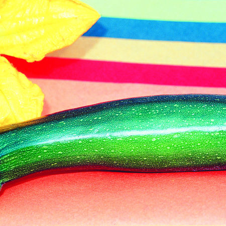 Zucchini / Zucchetti 'Grey Zucchini'
