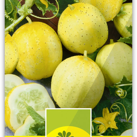 Gurke 'Lemon'