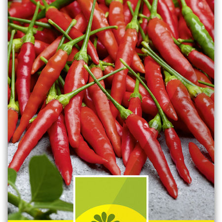 GewÃ¼rzpaprika-Chili 'De Cayenne'