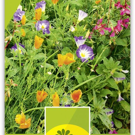 Blumenmischung 'Sommerpracht' Bio
