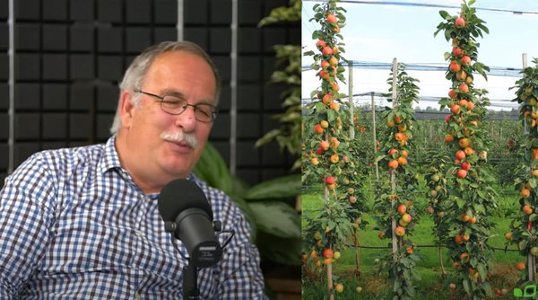 Gartenstudio Podcast SÃ¤ulenobst