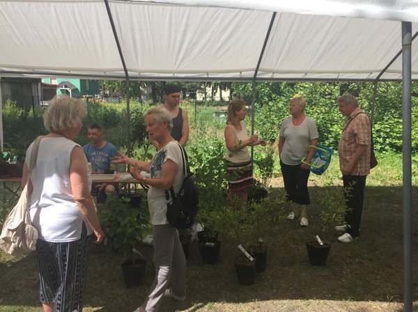 Pflanzentauschbrse Verein Dorfleben 18 in Petershagen/Eggersdorf Lubera