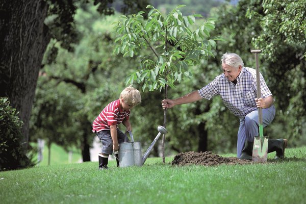 EM im Garten Effektive Mikroorganismen PflanzenstÃ¤rkungsmittel Pflanzenhilfsstoff
