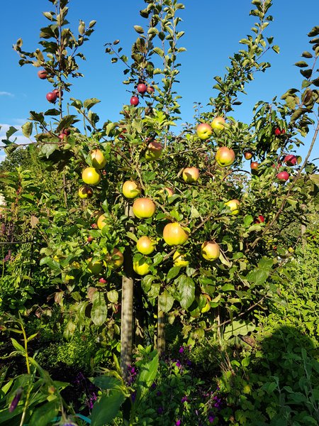 Vergesst die Alten nicht Ranka Tessin Lubera