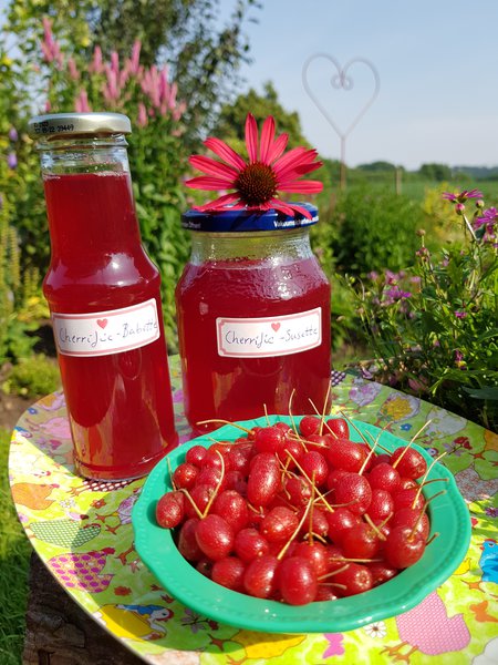 Happy Pills Pointilla Cherrific Pnktchenbeere Ranka Tessin Lubera Gartenbuch