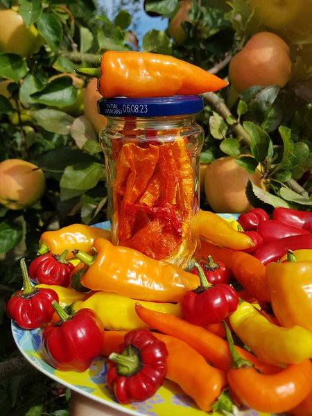 Chili haltbar machen, Aji Cristal, Lubera