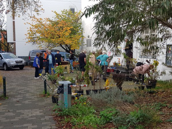 Pflanzentauschbrse Junges Theater Leverkusen Lubera