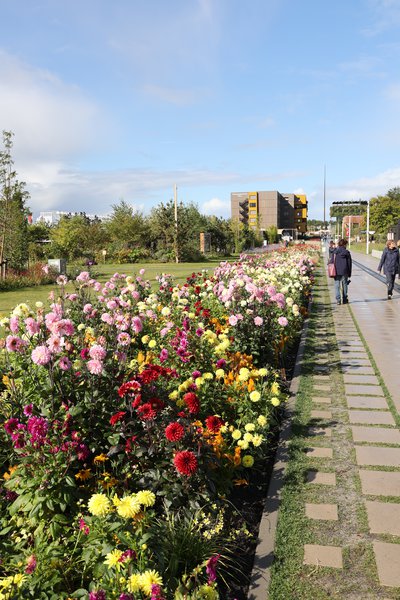 Floriade, Almere, Niederlande, Markus Kobelt, 2022