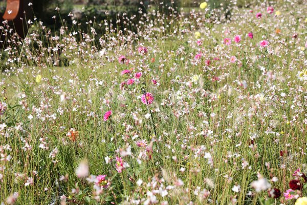 Floriade, Almere, Niederlande, Markus Kobelt, 2022