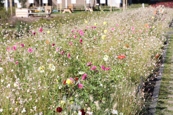 Floriade, Almere, Niederlande, Markus Kobelt, 2022