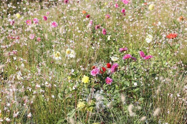 Floriade, Almere, Niederlande, Markus Kobelt, 2022