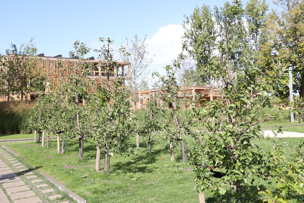 Floriade, Almere, Niederlande, Markus Kobelt, 2022